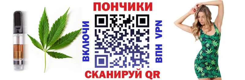 Купить закладки  Жердевка  Печенье с ТГК марихуана 