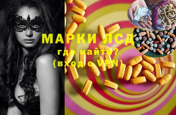 дживик Карпинск