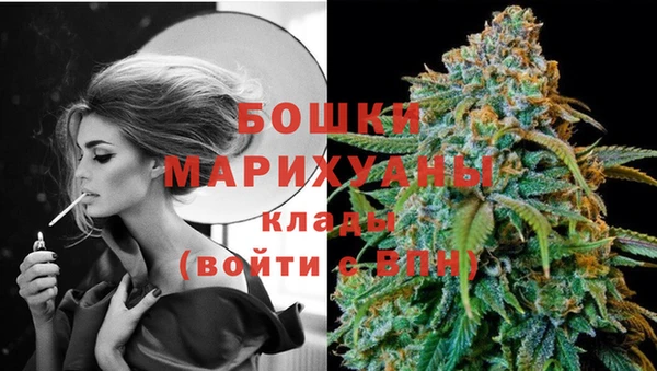 дживик Карпинск