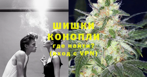 дживик Карпинск
