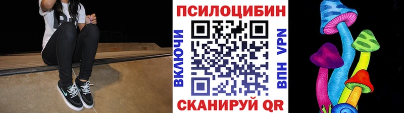 Псилоцибиновые грибы Psilocybe  Купить где  Жердевка 