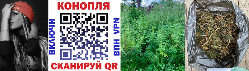 Купить закладки Жердевка Шишки марихуана SATIVA & INDICA